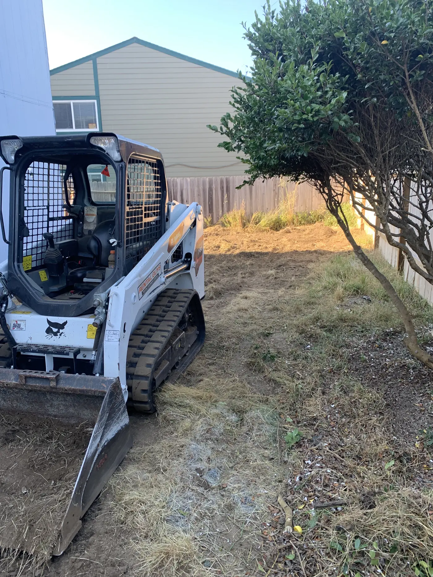 Rented Bobcat track loader clearing the back of the property